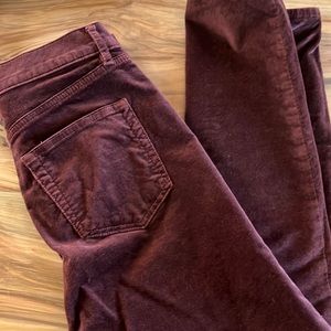 LOFT Burgundy Velvet Skinny Jean